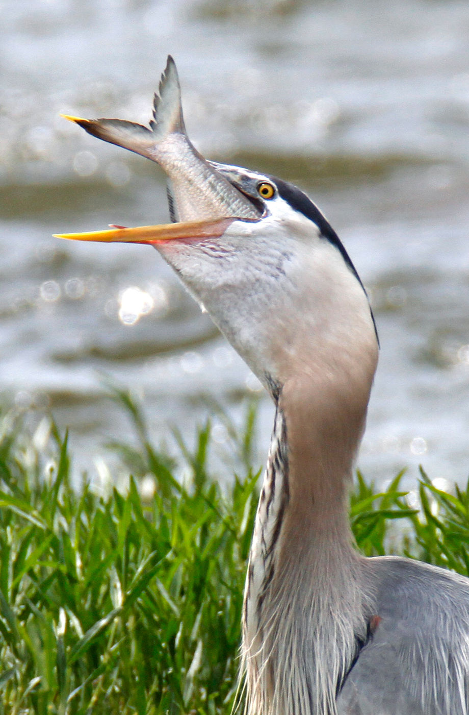 James River Park System